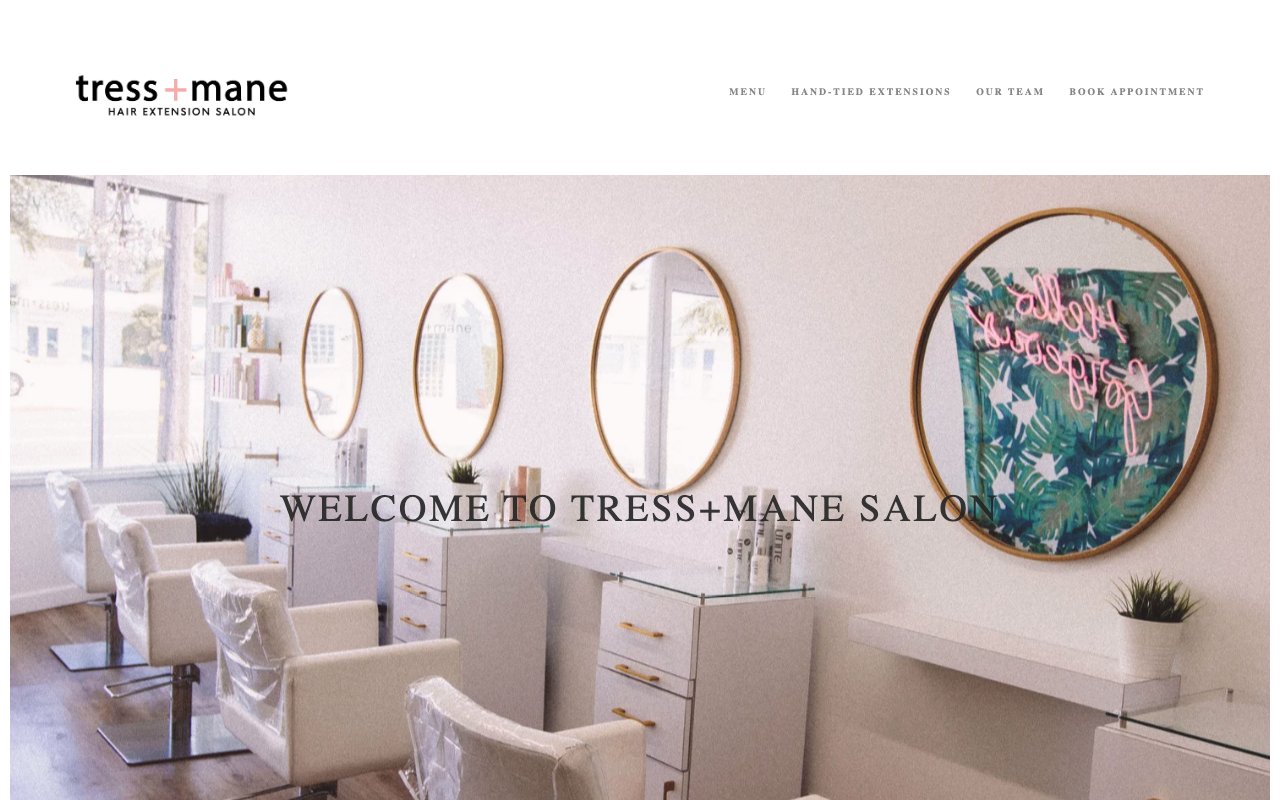 Tress and Mane Salon desktop