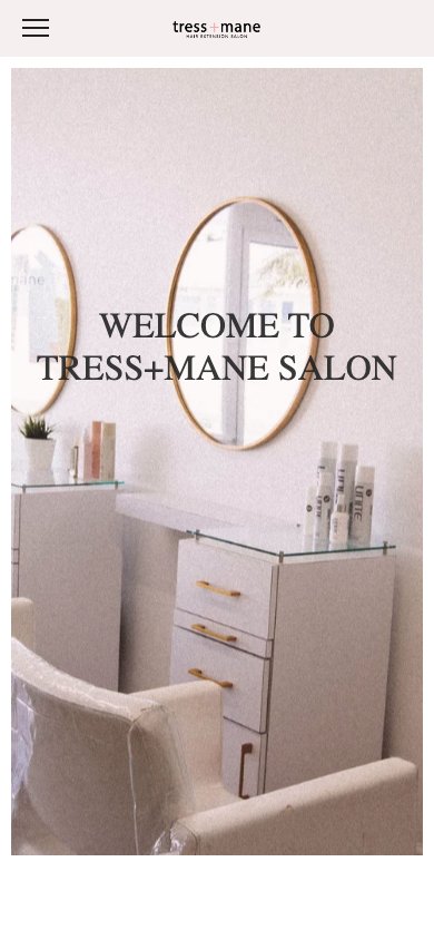 Tress and Mane Salon mobile