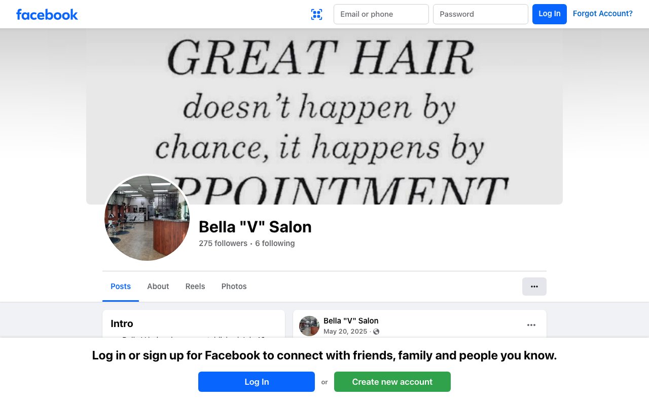 Bella V Salon desktop